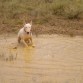 dia en el "barro"